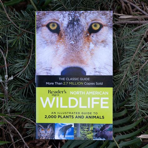 Readers Digest North American Wildlife Wilderness Awareness School