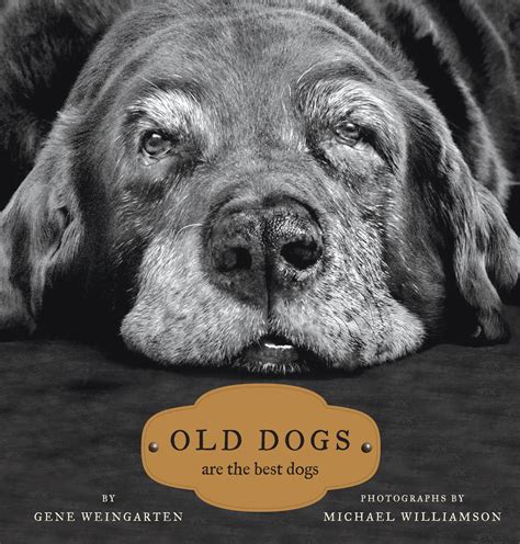 Old Dogs Book By Gene Weingarten Michael S Williamson Official