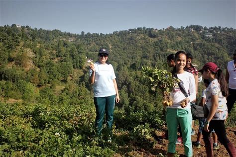 Kumaon Village Experience Hike Mukteshwar All You Need To Know Before You Go