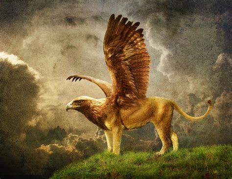 Gryphon By Canis Ferox On Deviantart