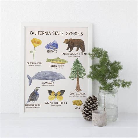 California State Symbols Watercolor Art Print Artofit