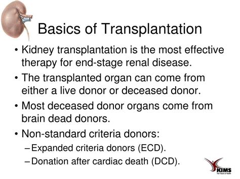 Ppt Renal Transplantation Powerpoint Presentation Free Download Id