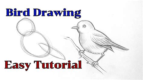 Pencil Drawing For Beginners Step By Step Hot Deal Save 47 Jlcatj