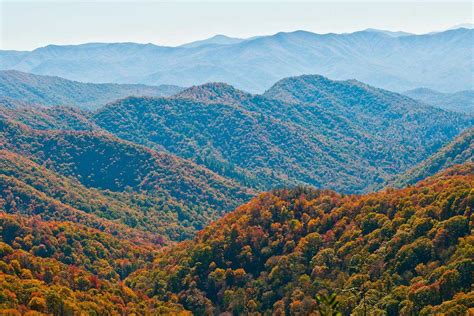 30 Interesting Facts About The Great Smoky Mountains National Park