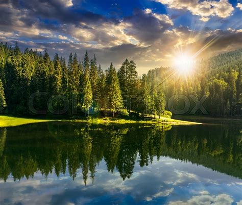 Lake Near The Pine Forest In Mountains Stock Photo