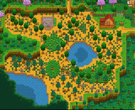 Stardew Valley Best Farm Type For Beginners