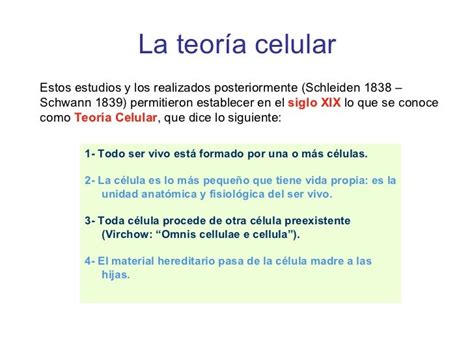 Evolucion De La Teoria Celular Linea Del Tiempo Compartir Celular 885