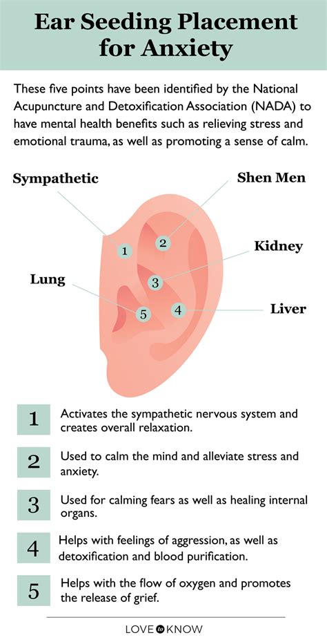 Ear Seed Placement Chart