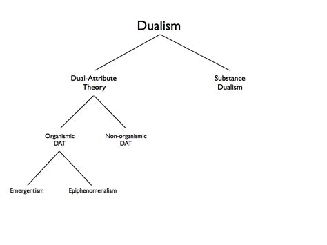 Understanding The Theory Of Dualism