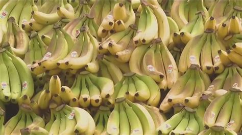 Bananas Could Go Extinct Scientist Warn