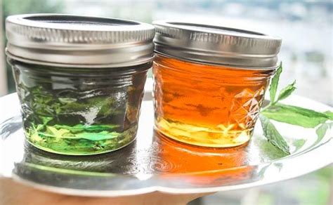 May 17, 2020 · the first step is to pour a small amount of water into the bowl of flour. Mint Apple Jelly fun! - The Art of Preserving, made easy ...