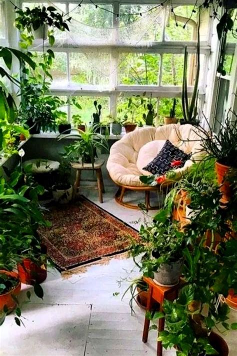 Indoor Garden Apartment Garden Plant