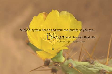 Desert to Bloom Wellness | Stress Management & Self-Care Programs | New