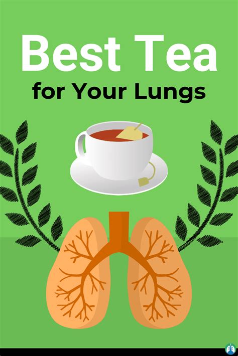 9 Best Lung Cleanse Tea Products For Breathing And Detox Tea Cleanse