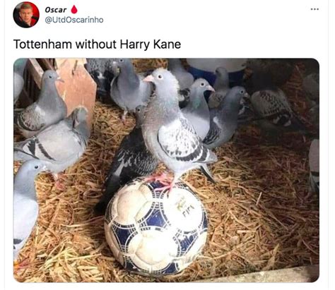 Jose mourinho has been sacked after just over a season and a half with the spurs, the club has confirmed in a statement. Meme Spurs Dilibas Chelsea, Mourinho Jadi Lakon