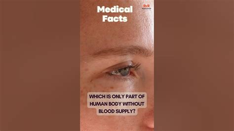 The Cornea Has No Blood Supply Amazing Facts Facts Collection Youtube