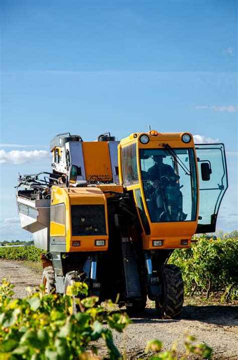 A Mechanical Grape Harvesting Machine In A Vineyard Editorial Stock