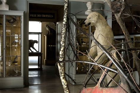 Musee De La Chasse Et De La Nature - Réouverture du musée de la chasse et de la nature - Arts in the City