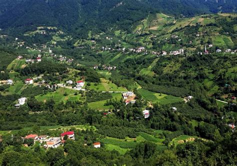 Trabzon Nerede Yenir Nomatto