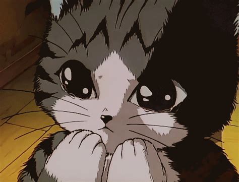 Crying Anime Cat Crying Cat Know Your Meme