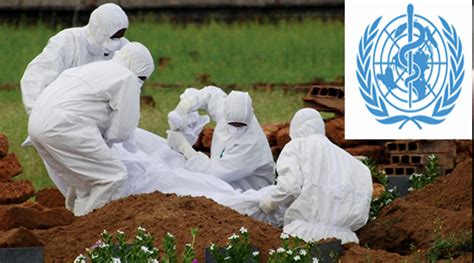 Nipah virus, a paramyxovirus related to hendra virus, first emerged in malaysia in 1998. Nipah virus: OMS alerta por nuevo virus en la India que ...