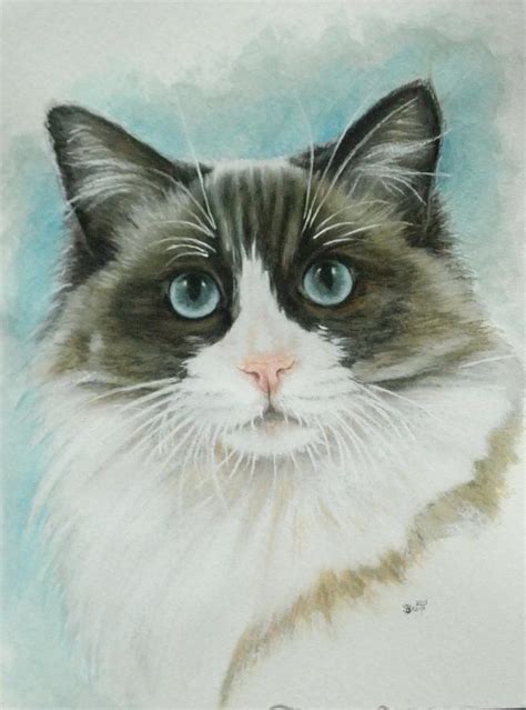 Ragdoll By Barbara Keith Ragdoll Cat Art Animal Paintings