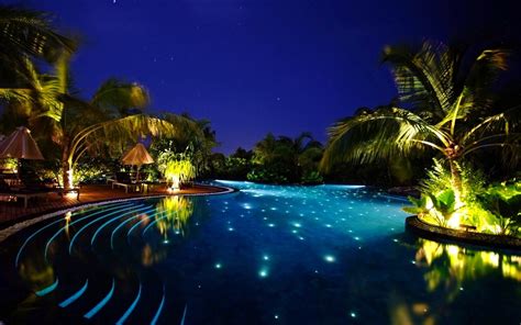 Swimming Pool Water Forest Night Palm Trees Hd Wallpaper