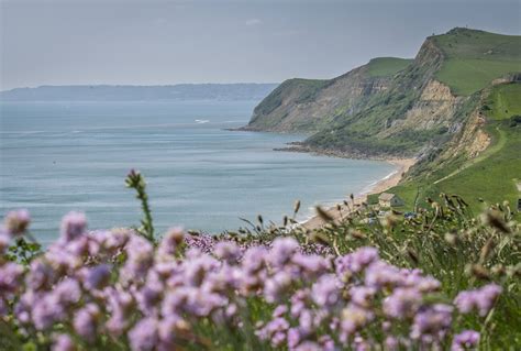8 Fantastic Viewpoints In West Dorset Dorset Beauty Spots