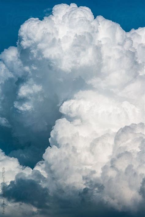 Detail View Of Large Cumulus Clouds In Summer White Clouds Sky And