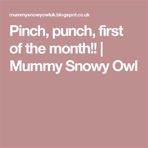Pinch Punch First Of The Month Mummy Snowy Owl Punch One Month