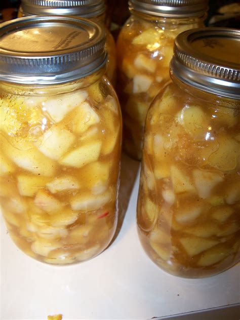 Perfect for desserts, breakfasts or just eating with a spoon! Lunches Fit For a Kid: Recipe: Apple Pie Filling (Canned)