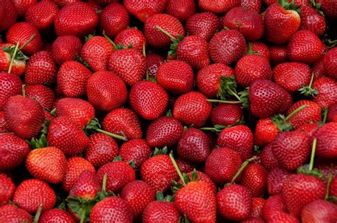 How Many Strawberries Do Strawberry Plants Produce