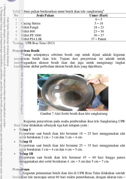 Analisis Tata Niaga Usaha Pembenihan Ikan Lele Sangkuriang Pada Unit