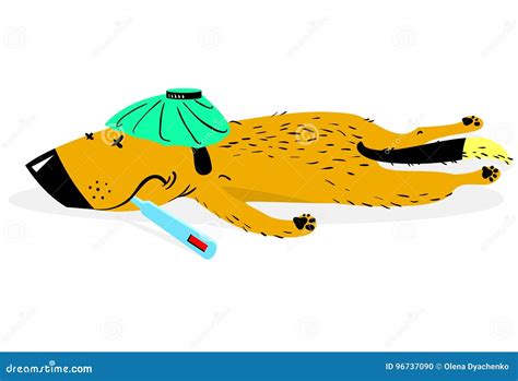 Sick Dog The Aching Sad Dog Lies With The Thermometer Stock Vector