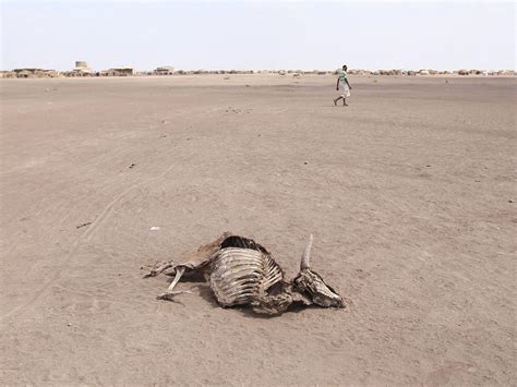Ethiopia Drought Map