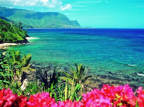 Hawaii+Vacations | hawaii usa Hawaii Travel Guide to Vacation in Hawaii | Hanalei bay, Places to ...