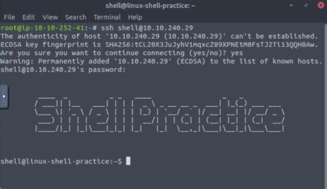 Tryhackme Writeup What The Shell Hot Sex Picture