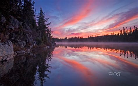 Download Before You The New Bing Desktop Wallpaper Set By