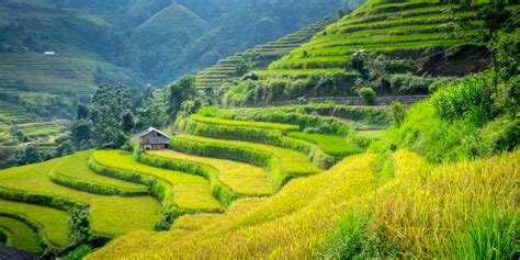 Lao Cai Trips Custom Vietnam Tours Enchanting Travels