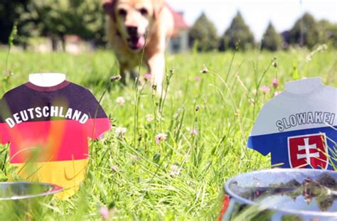 In der runde der letzten 16 mannschaften erwarten uns noch weitere packende duelle. Fußball-EM Achtelfinale: Unser Leberwurst-Orakel tippt das ...