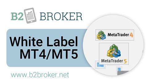 White Label Mt4mt5 B2broker 📈 Liquidity And Forex Tech Provider