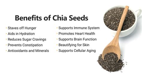 The Benefits Of Chia Seeds Longevity Warehouse Blog