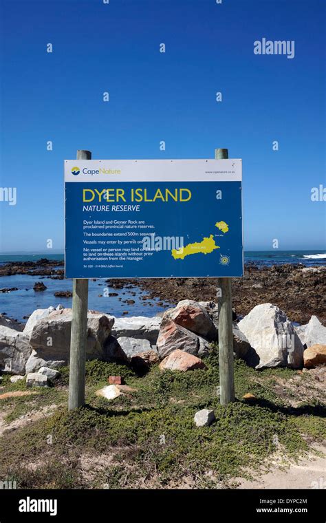 Dyer Island South Africa Hi Res Stock Photography And Images Alamy