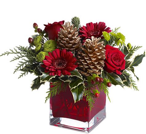 Teleflora S Cozy Christmas Ch23ta • Canada Flowers