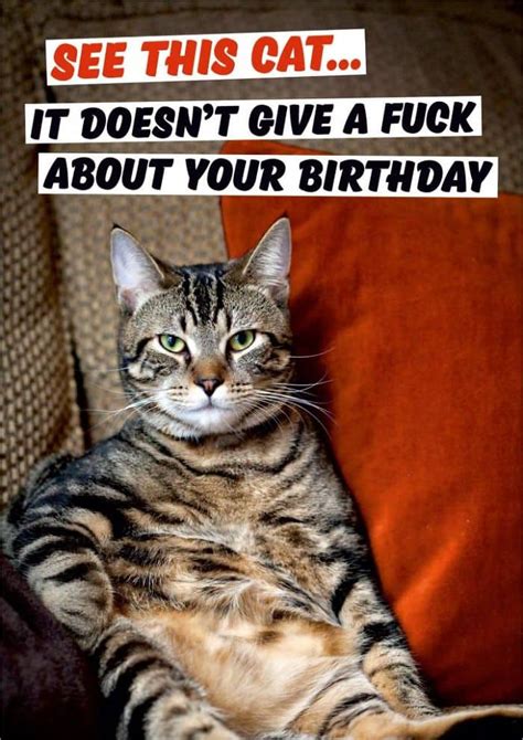 9 Amusing Cat Themed Cards Any Feline Owner Will Love