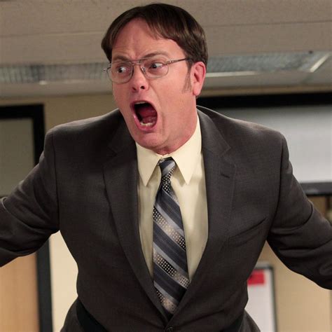 Dwight Schrute Costume The Office The Office Dwight The Office