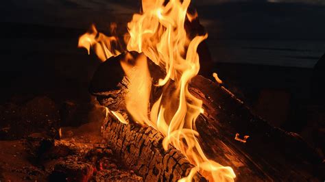 Download Wallpaper 2560x1440 Bonfire Fire Flame Night Dark