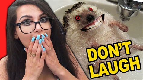 Try Not To Laugh Challenge Or Lia Gets The Mayonnaise Sssniperwolf
