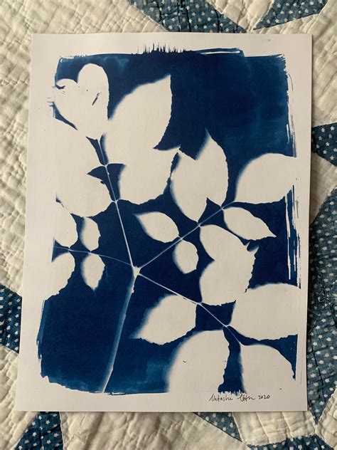 Cyanotype Print Blue Botanical Art Cyanotype Art Sunprint Plant