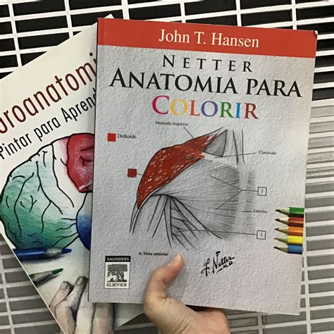 Livros Anatomia E Neuroanatomia Para Colorir Livro Elsevier Roca